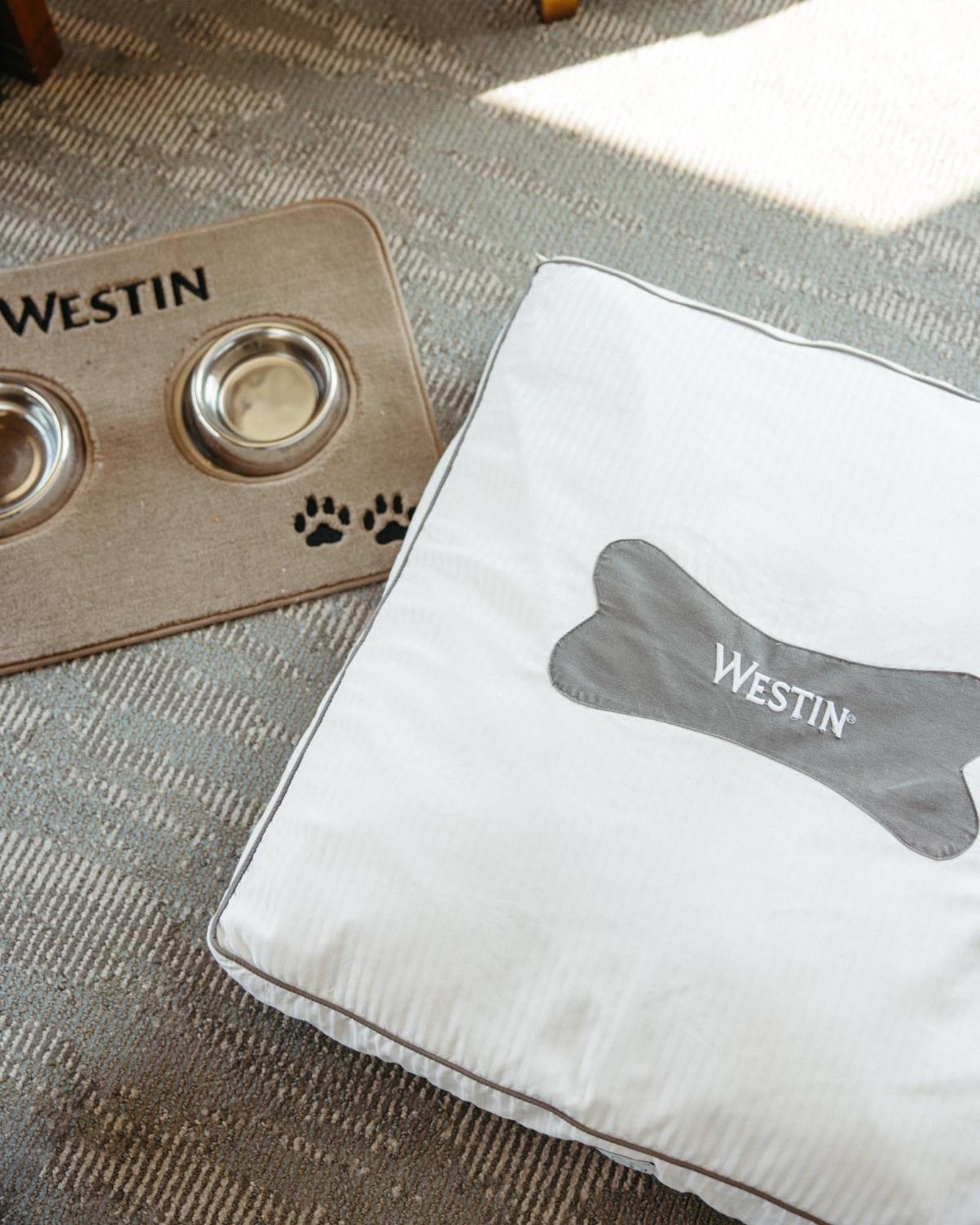 Hotel The Westin At The Domain Austin