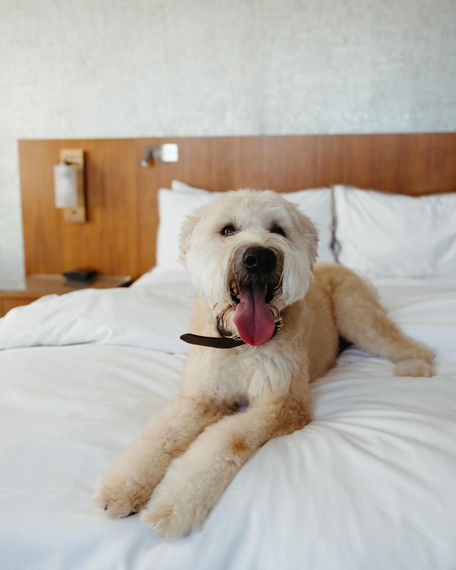 The Westin At The Domain 4* Austin