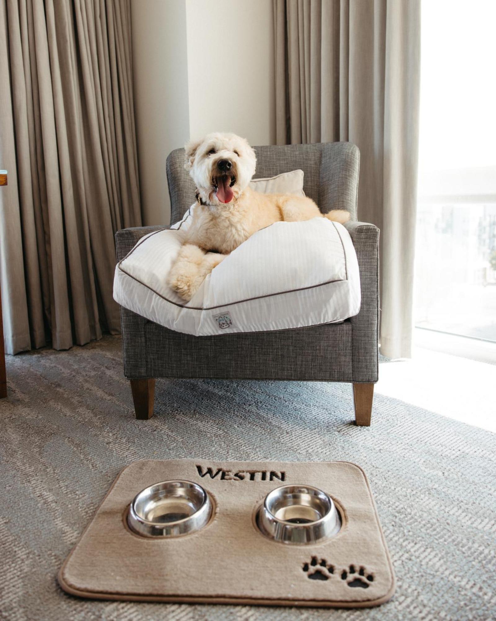 The Westin At The Domain 4*